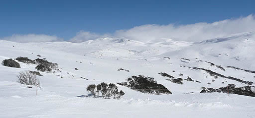 Wide view of a snamy mountain with small clumps of trees in the distance and some rock showing through the snow. Wide view of a snamy mountain with small clumps of trees in the distance and some rock showing through the snow.
