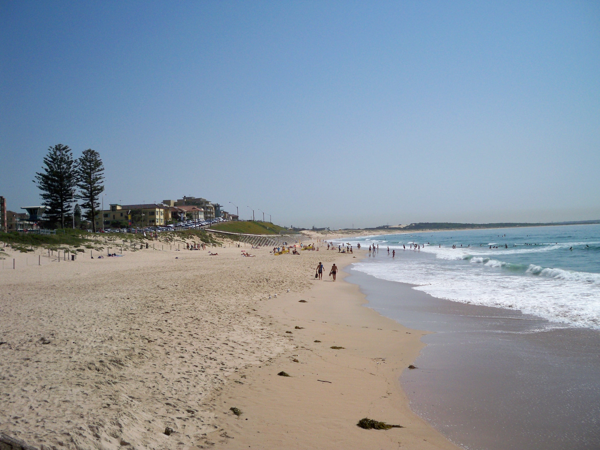 Looking at a beach cross section, with the water on the right and the sand dunes then grass and trees further inland. Looking at a beach cross section, with the water on the right and the sand dunes then grass and trees further inland.