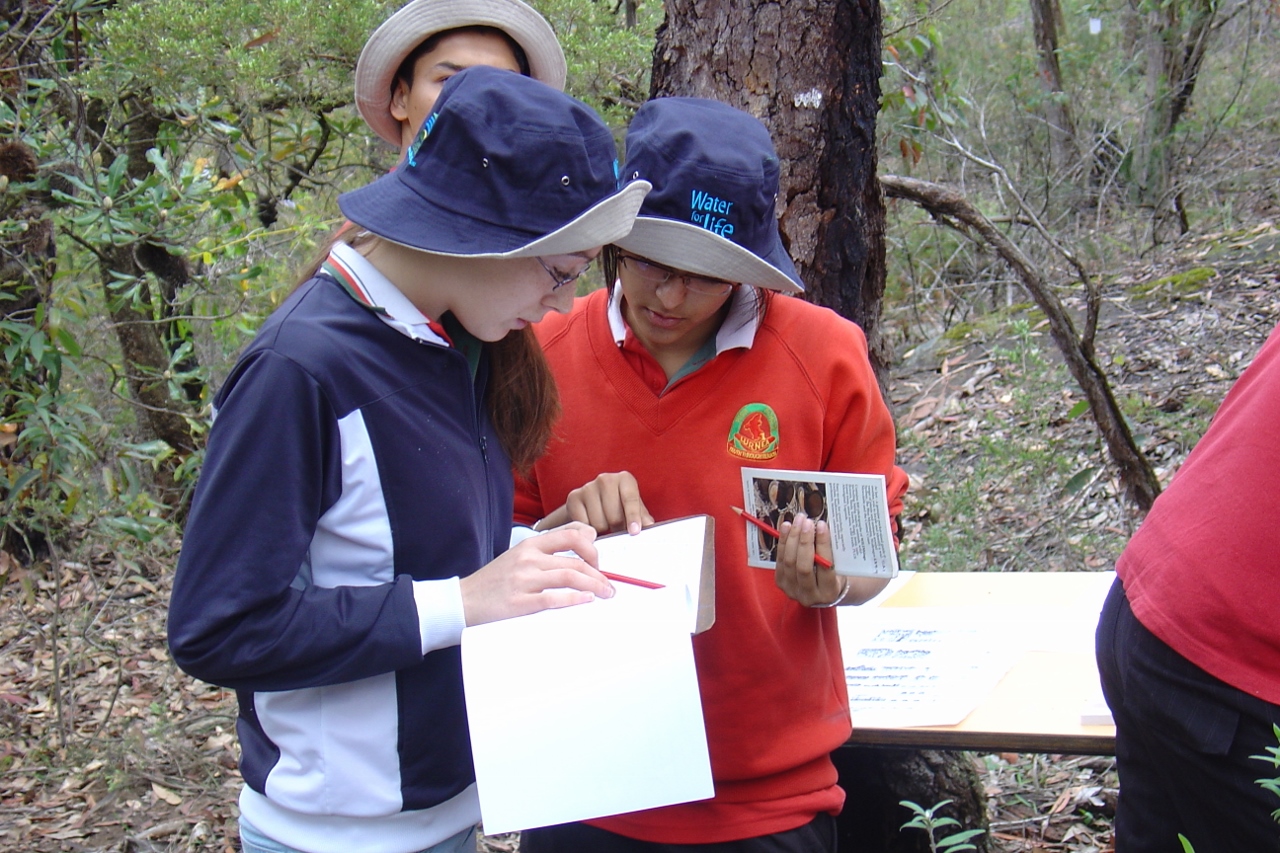 High school students stand in the forest consulting information on a clipboard. High school students stand in the forest consulting information on a clipboard.
